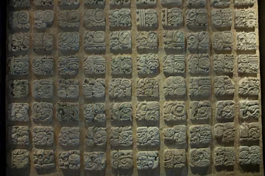 Mayan Glyphs